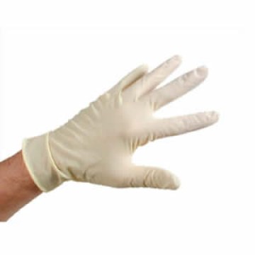 Powder-Free Latex Gloves – Disposable & Protective