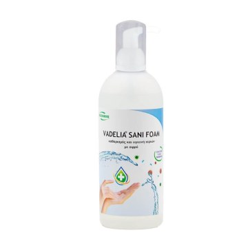 Vadelia Sani Foam Καθαρισμός & Υγιεινή Χεριών με Αφρό 500ml Vadelia Sani Foam Καθαρισμός & Υγιεινή Χεριών με Αφρό 500ml