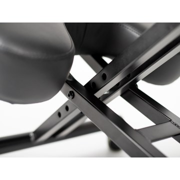 Εργονομική Καρέκλα Ergo Standard – Habys