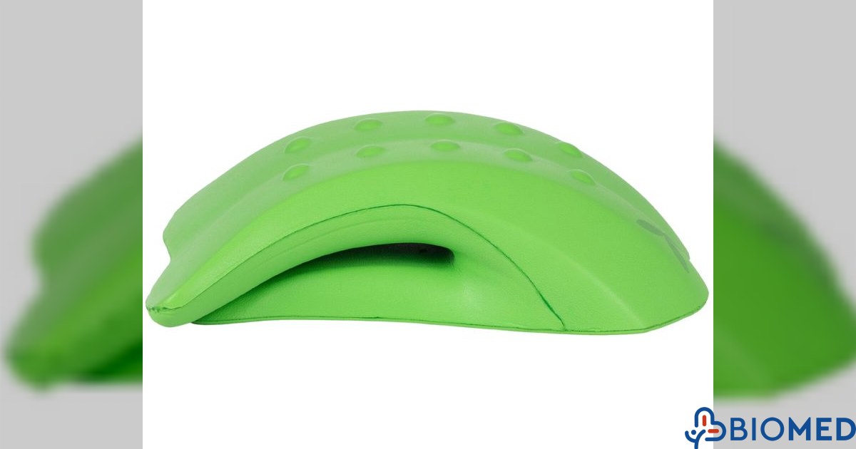 Biomed Gr Habys Lumbar and Back Support Cushion | Biomed