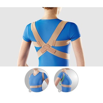 Oppo back support belt 2075