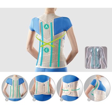 Κηδεμόνας Κορμού Taylor 2166 - Oppo 