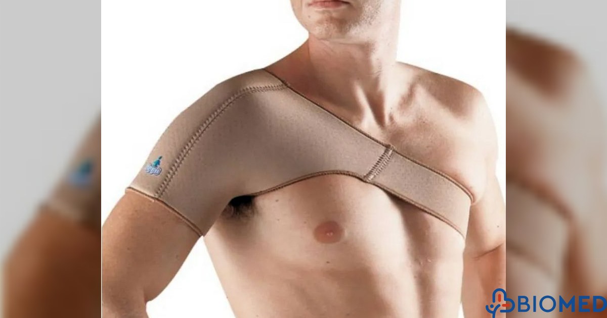 Biomed Gr Shoulder & Back | Biomed