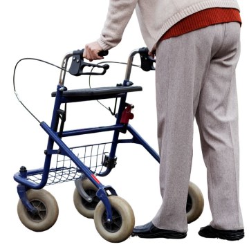 Βαδιστικά Περιπατητήρες