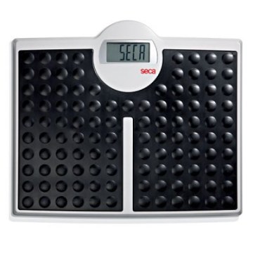 ΖΥΓΟΣ SECA 813 ΖΥΓΟΣ SECA 813